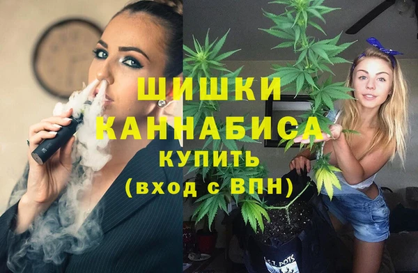 МДПВ Алзамай