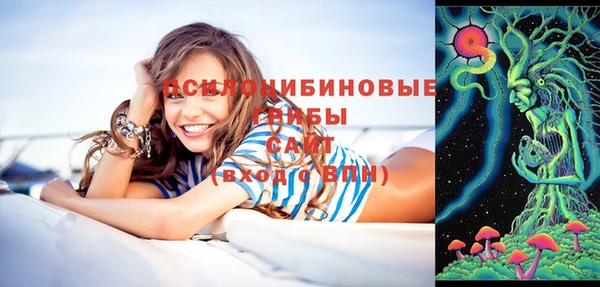метадон Алексин