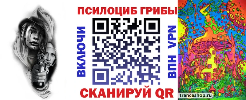 кракен ONION  цены   Топки  Псилоцибиновые грибы мицелий 