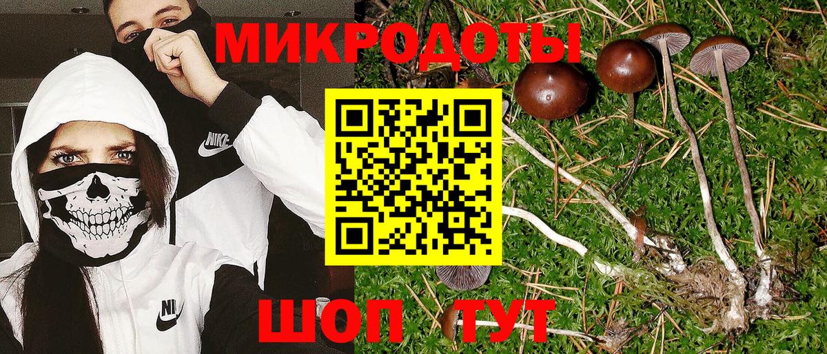 Псилоцибиновые грибы Cubensis  Галлюциногенные грибы мухоморы  Вход с VPN  Топки 
