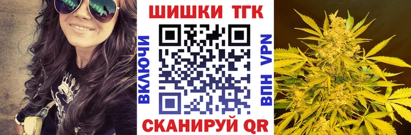 Бошки Шишки план  Топки 